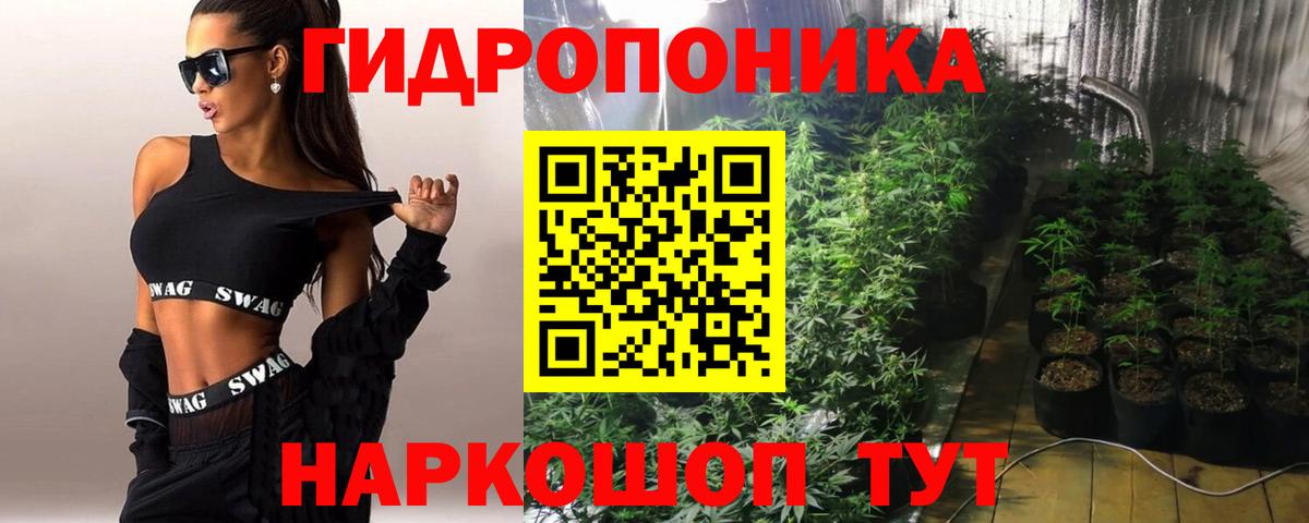 Бошки марихуана VHQ  Конопля конопля  Солнечногорск  Марихуана индика  Каннабис сатива  Вход с VPN 